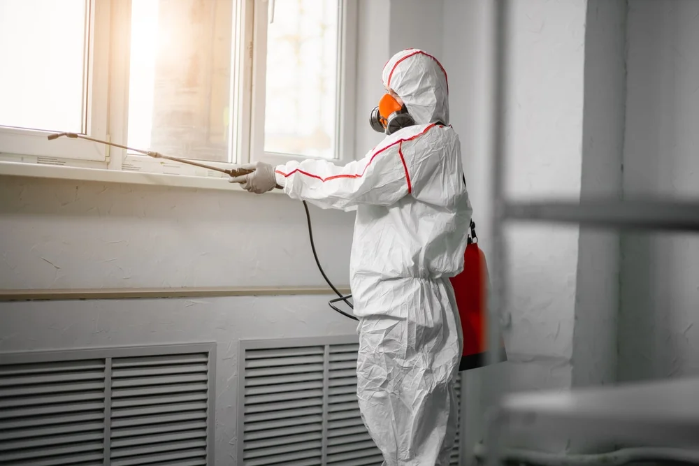 Professional mold remediation services in Apollo Beach, FL